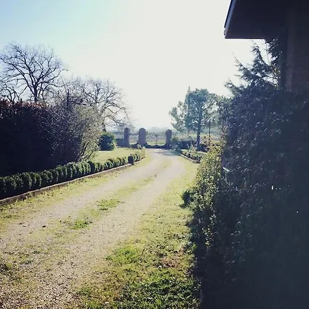 Les~ones Cupello * 산살보