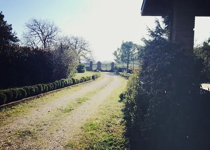 Les~ones Cupello * Σαν Σάλβο